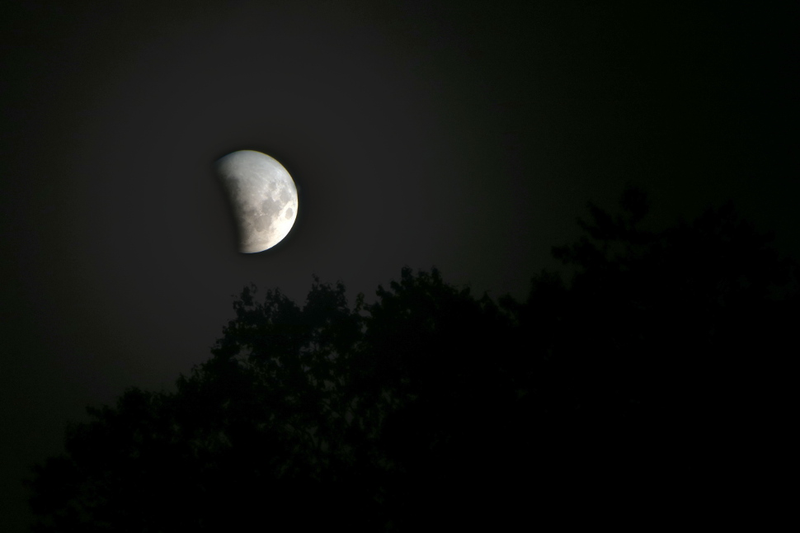 Illustration for article titled 34 Amazing Photos Of The Super Blood Moon